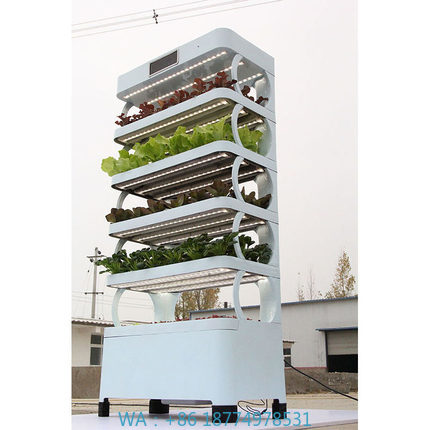 Smart Garden System - Arming Home Sistemas de cultivo hidropónico