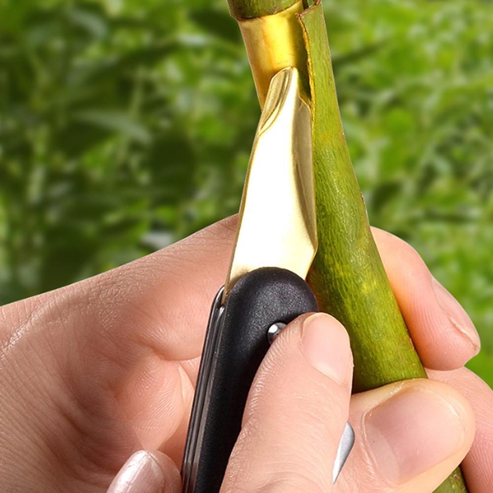 Máquina de injertar frutas y v - Smart Garden Edging reseña y precio