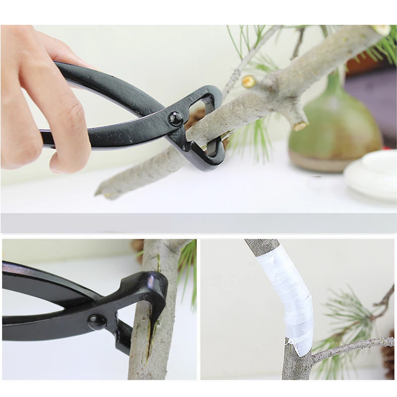 Cortador de perilla de bonsái  - Smart Garden Edging reseña y precio