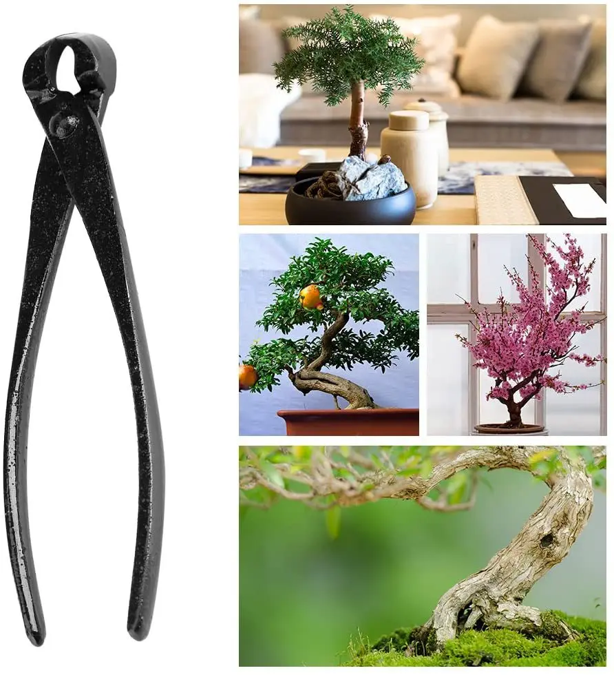 Cortador de perilla de bonsái  - Smart Garden Edging reseña y precio