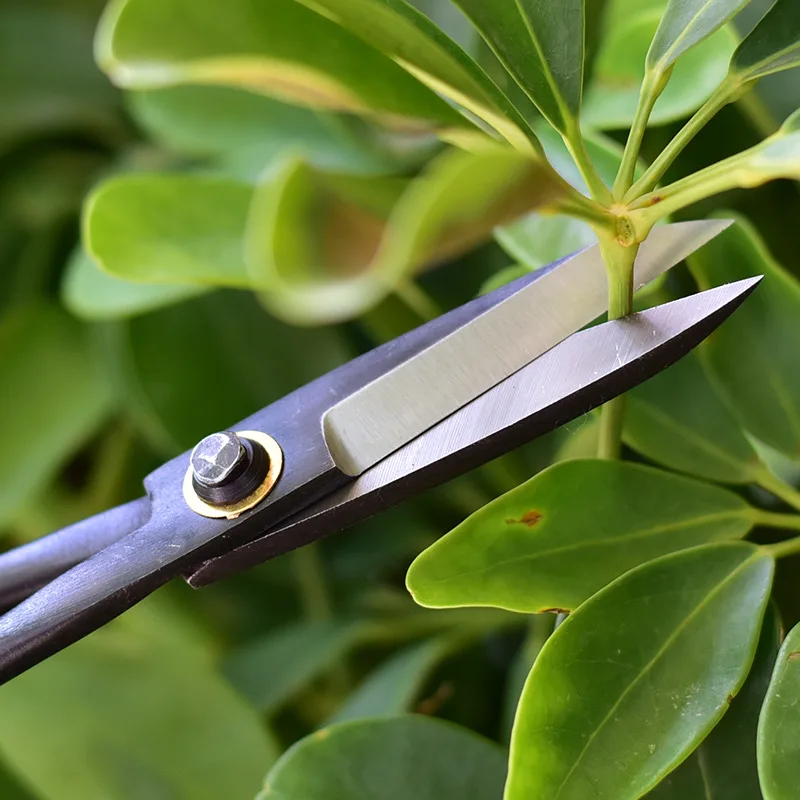 Cortador de perilla de bonsái  - Smart Garden Edging reseña y precio