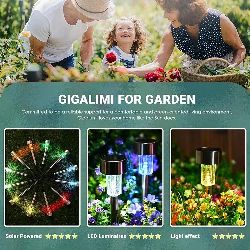 Luces solares para exteriores, - Smart Zen Garden reseña y precio