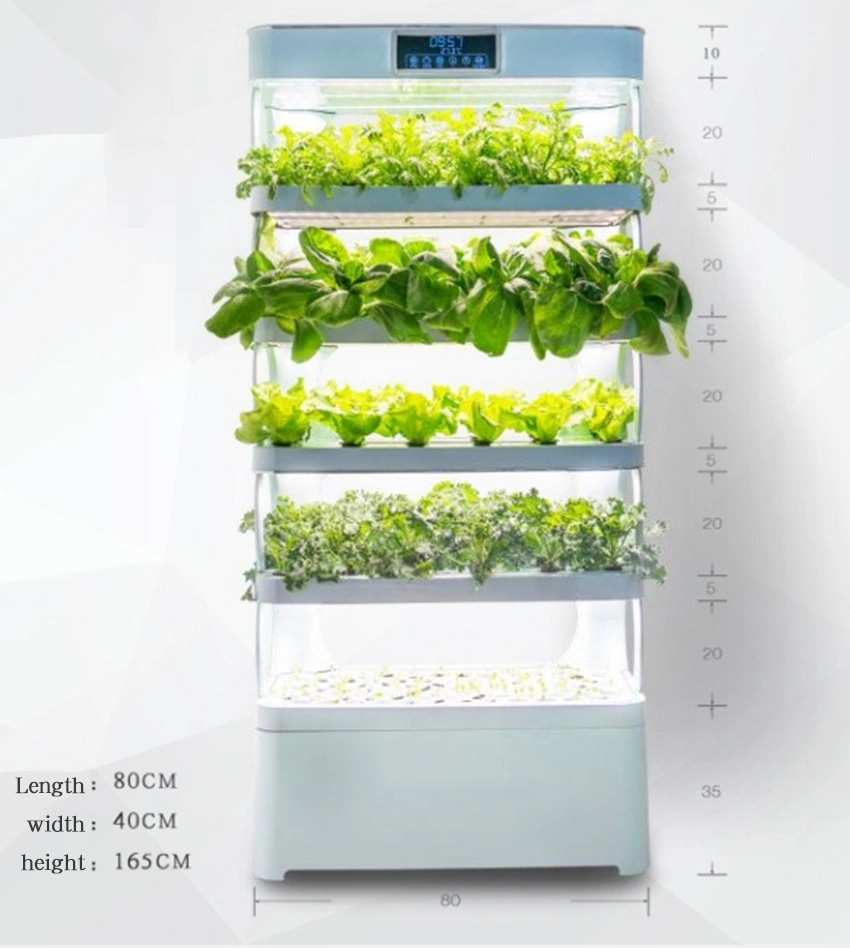 Arming Home Sistemas de cultiv - Smart Garden System reseña y precio